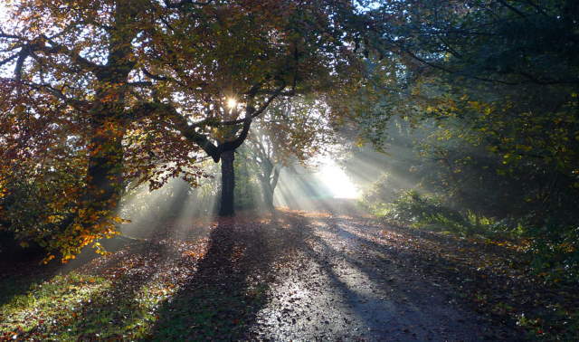 Shangrala's Best Of National Geographic 8