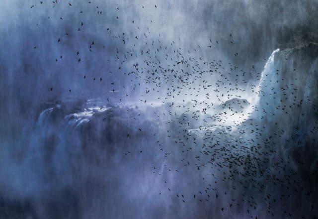 Shangrala's Best Of National Geographic 8