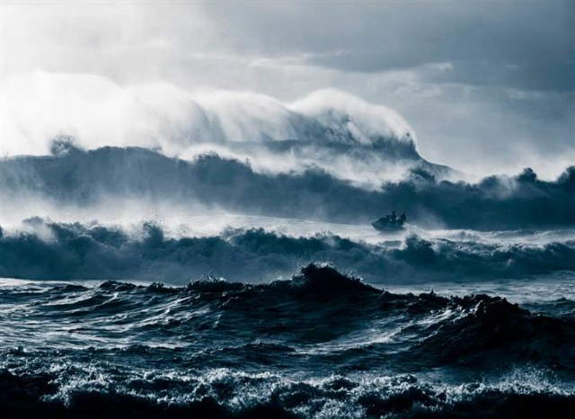 Shangrala's Ocean Photo Winners 2025