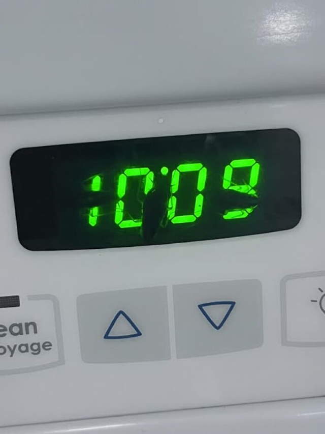 Shangrala's Life's Little Oops 16