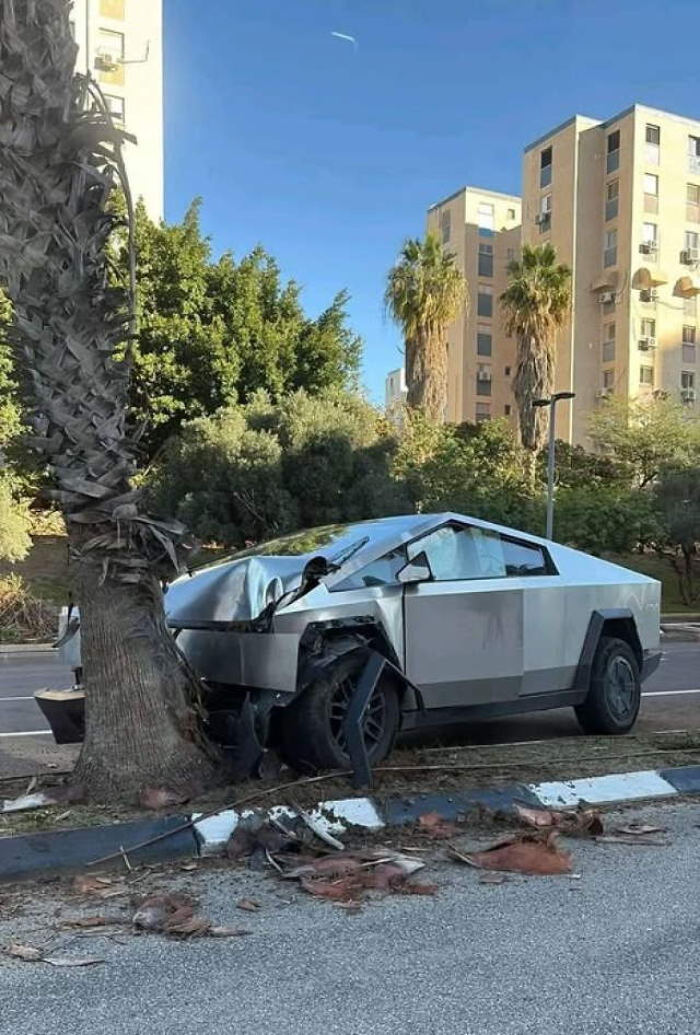 Shangrala's Life's Little Oops 16