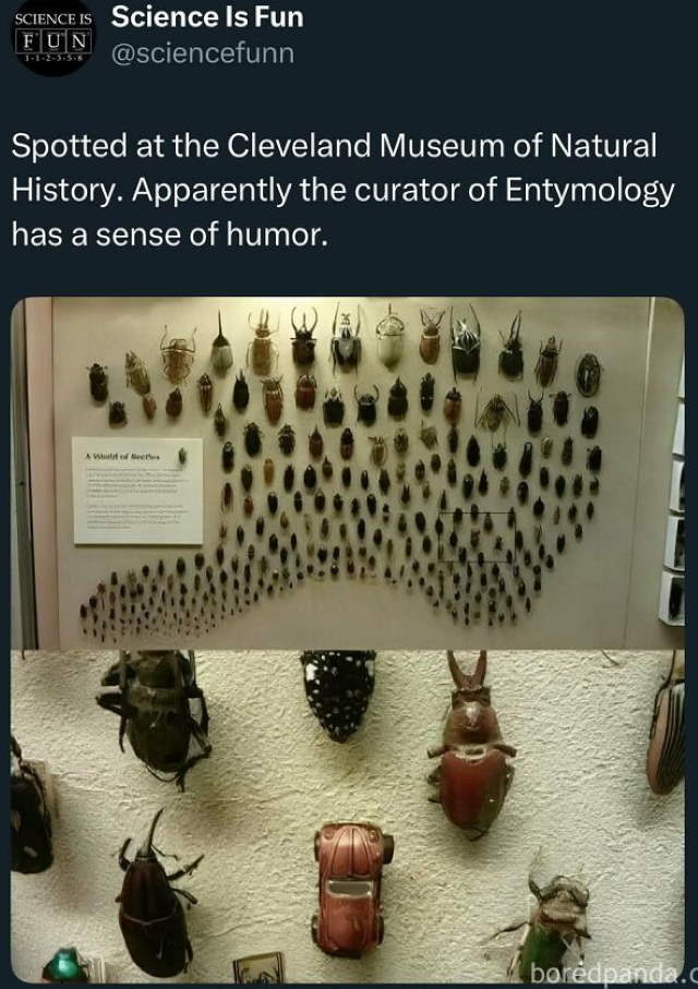 Shangrala's Science Can Be Fun