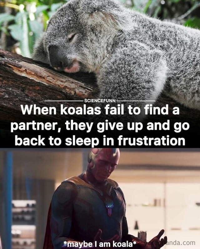 Shangrala's Science Can Be Fun