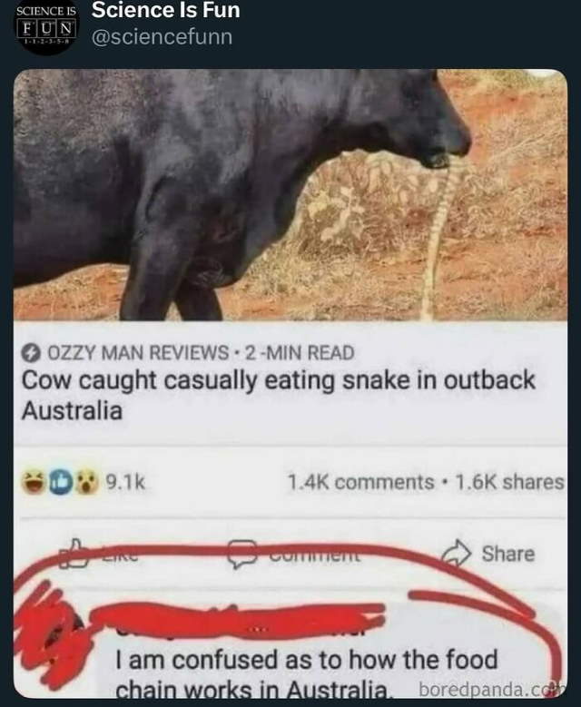 Shangrala's Science Can Be Fun