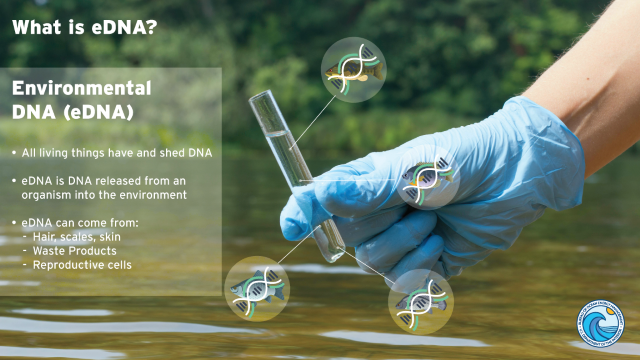 Shangrala's Amazing Science Facts 2