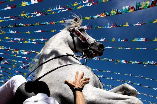 Shangrala's Siena Photo Awards 2