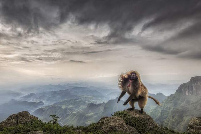 Shangrala's Siena Photo Awards 2