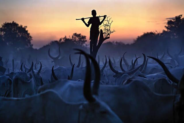 Shangrala's Siena Photo Awards 2