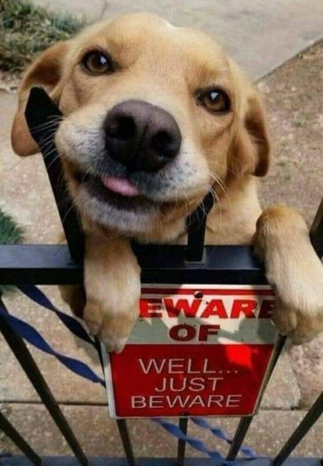 Shangrala's Humorous Signs 8