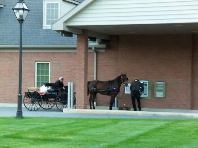 Shangrala's Top State's Humor