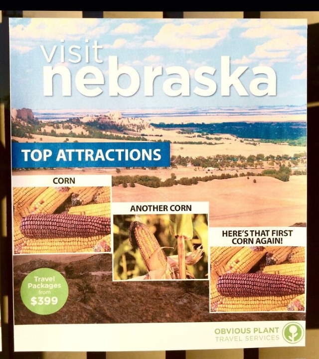 Shangrala's Top State's Humor