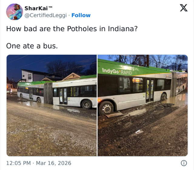 Shangrala's Top State's Humor