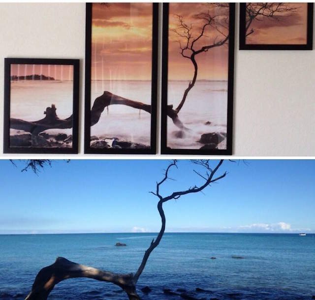 Shangrala's Strange Coincidences