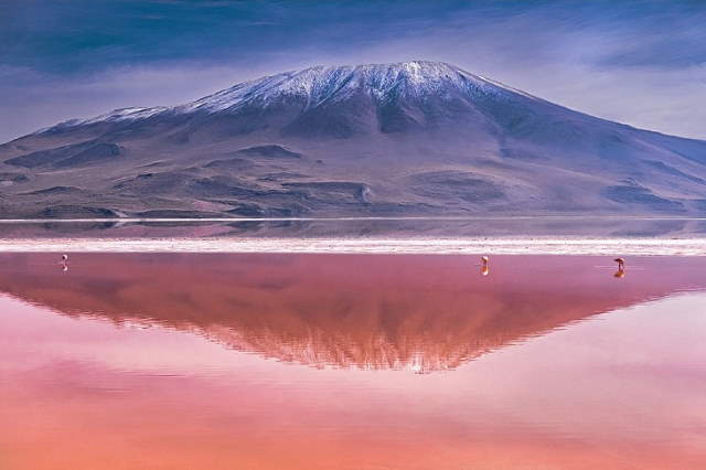 Shangrala's World Nature Awards