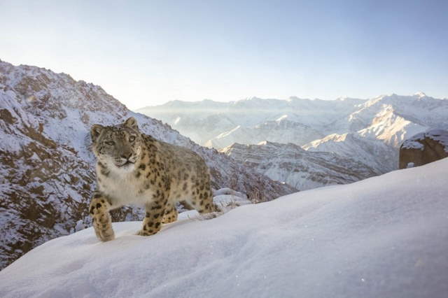 Shangrala's World Nature Awards