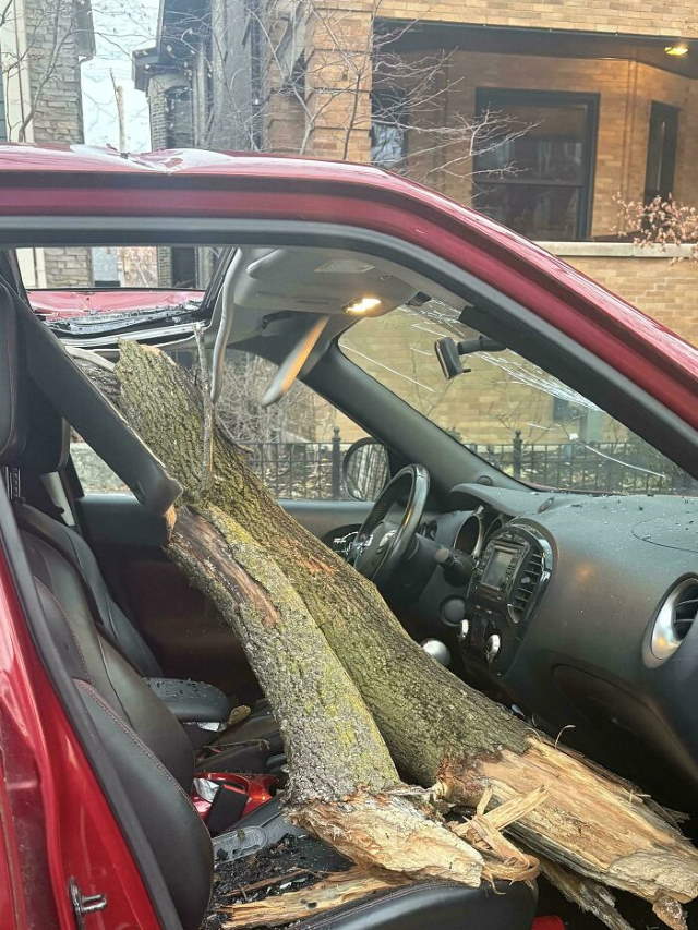 Shangrala's Life's Little Oops 17