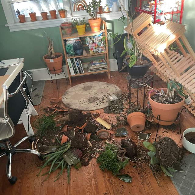 Shangrala's Life's Little Oops 17