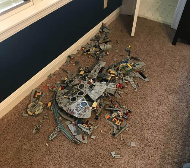 Shangrala's Life's Little Oops 17