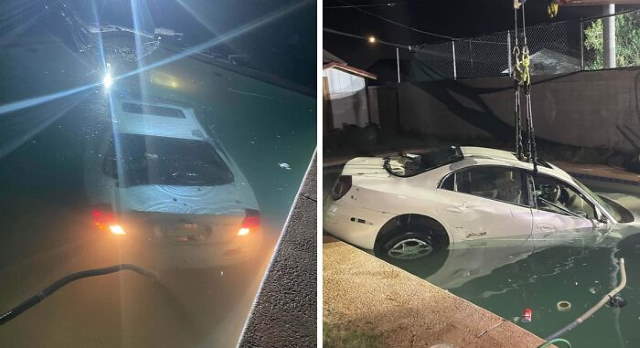 Shangrala's Life's Little Oops 17