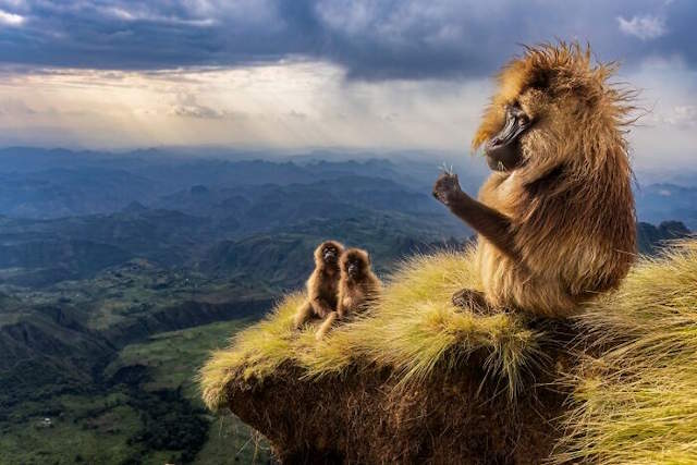 Shangrala's Siena Photo Awards 3