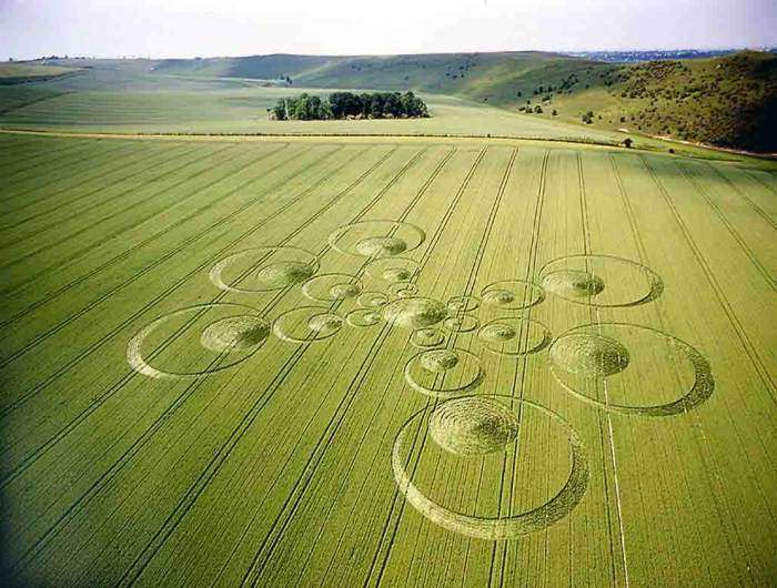 Shangrala's Crop Circle Mystery