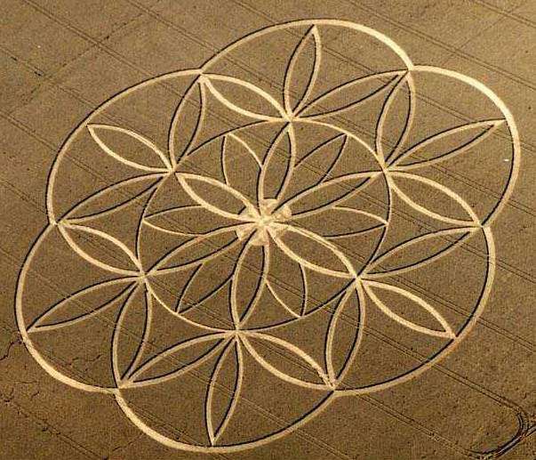 Shangrala's Crop Circle Mystery