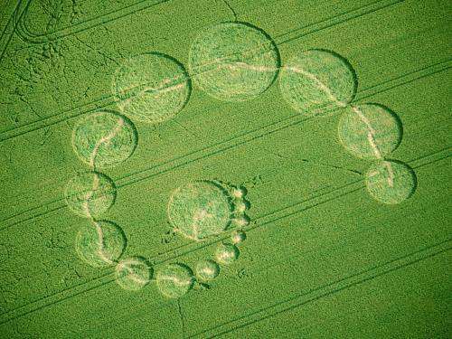 Shangrala's Crop Circle Mystery