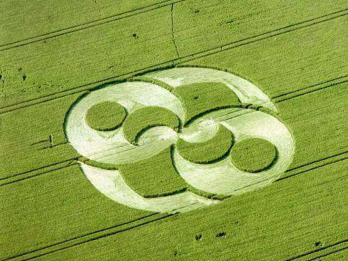 Shangrala's Crop Circle Mystery