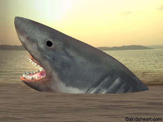 ShangralaFamilyFun.com - Shangrala's Great White Shark!