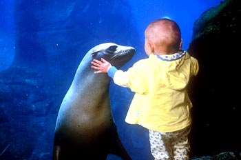 Shangrala's Oregon Coast Aquarium