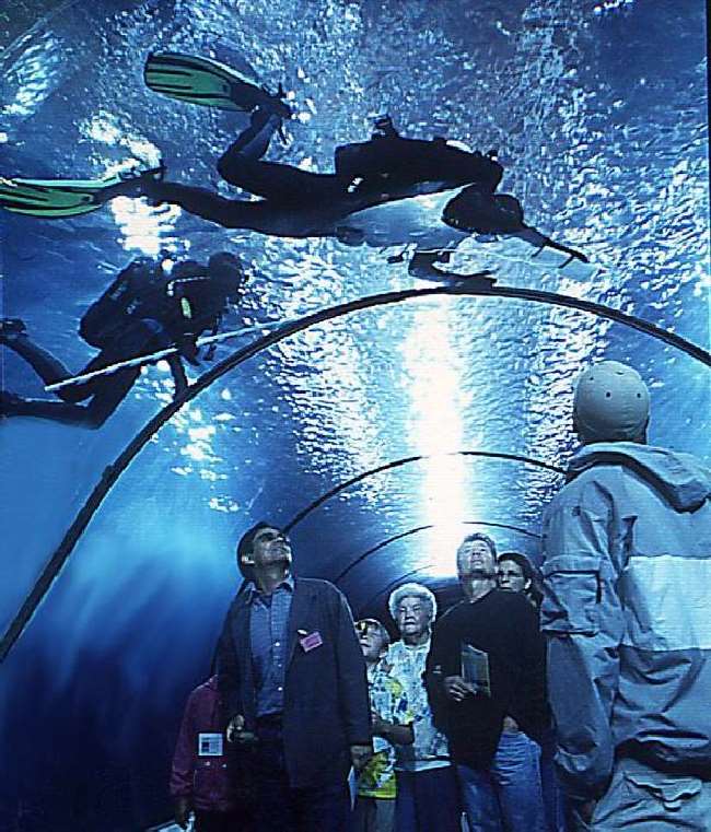 Shangrala's Oregon Coast Aquarium