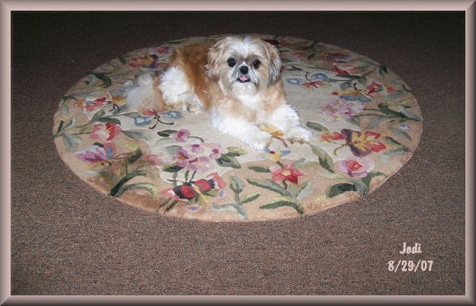 Jodi On Rug