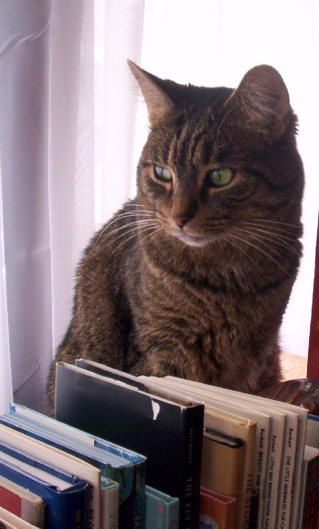 Tabitha With Books