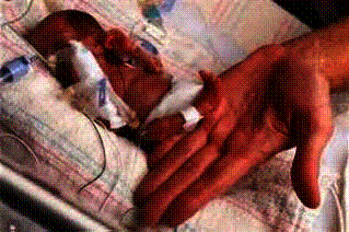 Shangrala's Miracle Baby