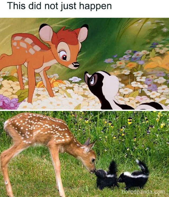 Shangrala's Animal Friends 3