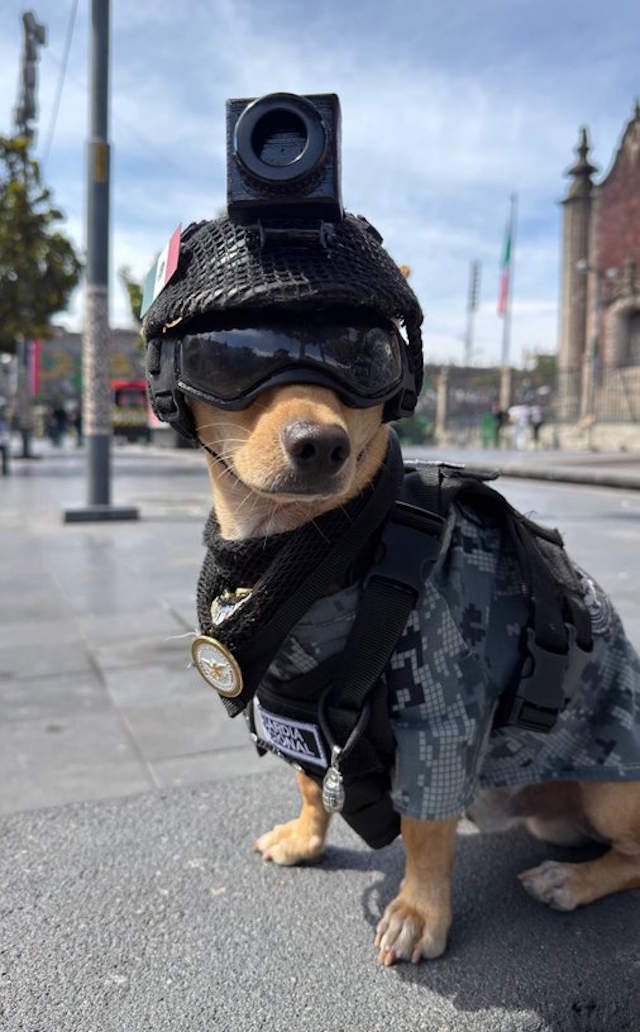 Shangrala's Mexico's Military Chihuahua