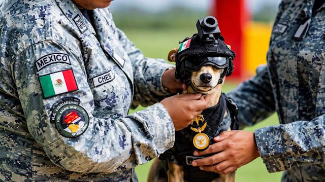 Shangrala's Mexico's Military Chihuahua