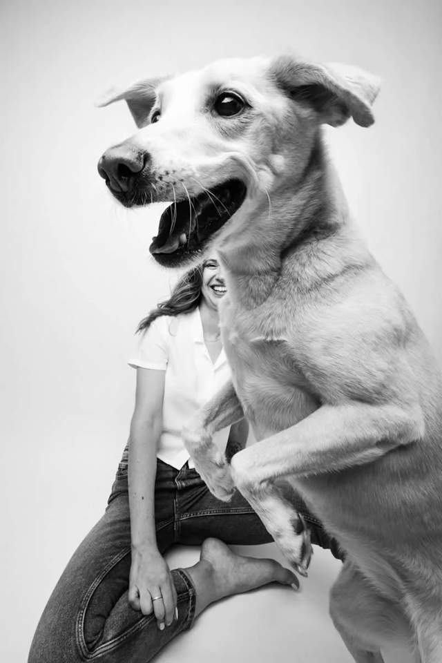 Shangrala's Dog Photo Awards