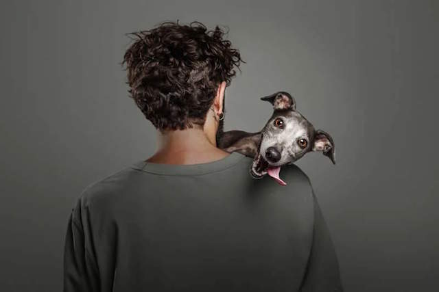 Shangrala's Dog Photo Awards