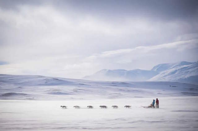 Shangrala's Dog Photo Awards
