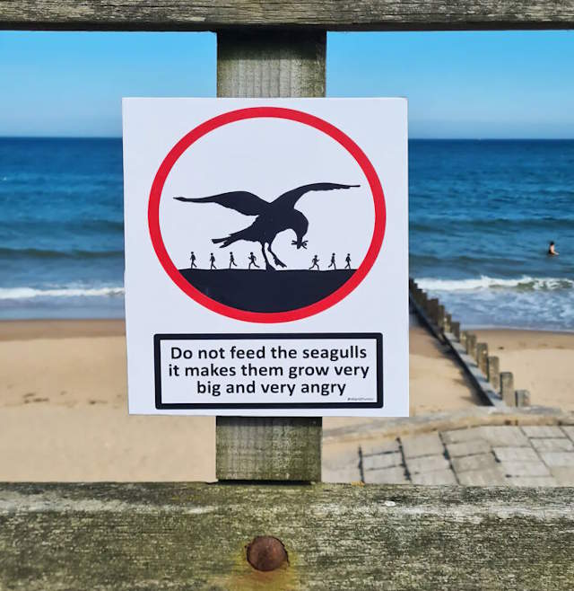 Shangrala's Humorous Signs 9