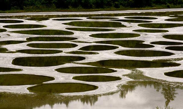 Shangrala's Strange Natural Wonders