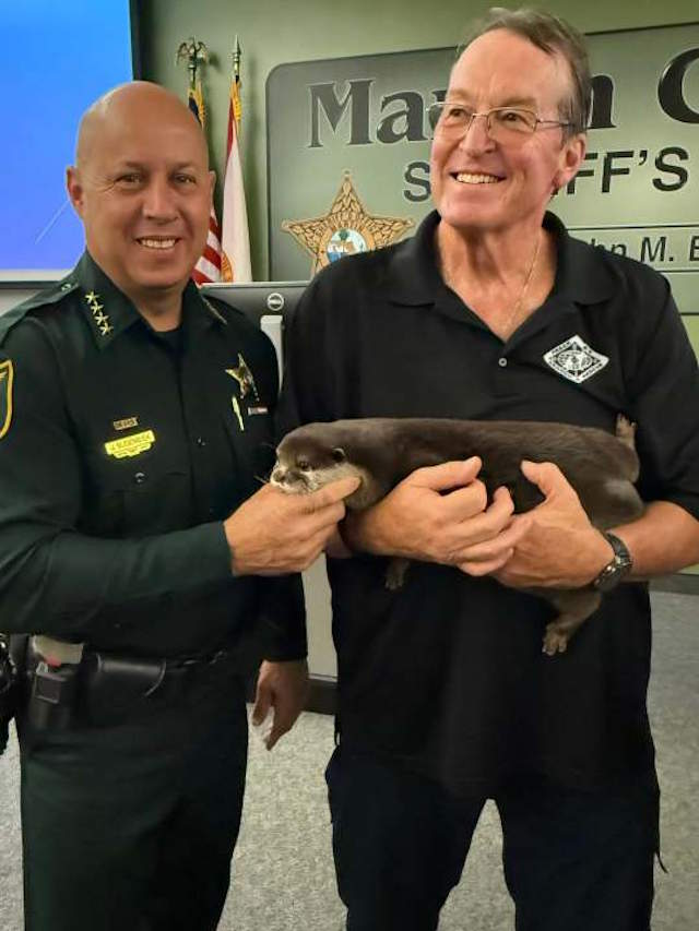 Shangrala's Water Rescue Otter